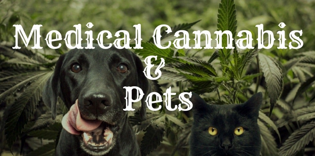 Buy medical cannabis for pets