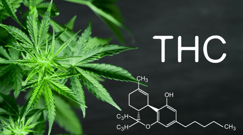 THC Dosages  A Descriptive Guide