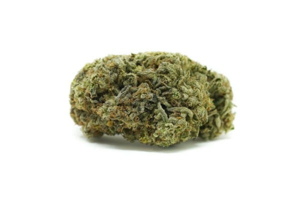 hybrid-white-russian-buy_weed_online_canada_white_russian