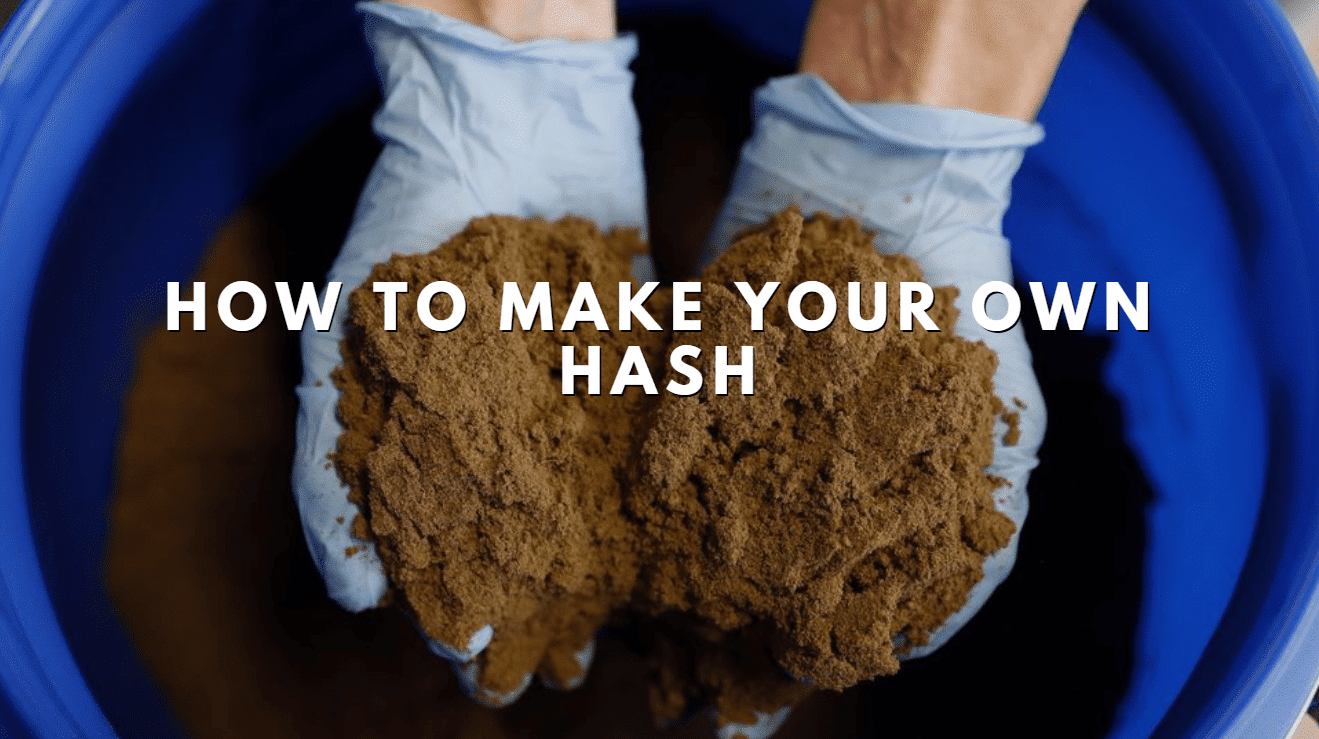 How To Make Your Own Hash