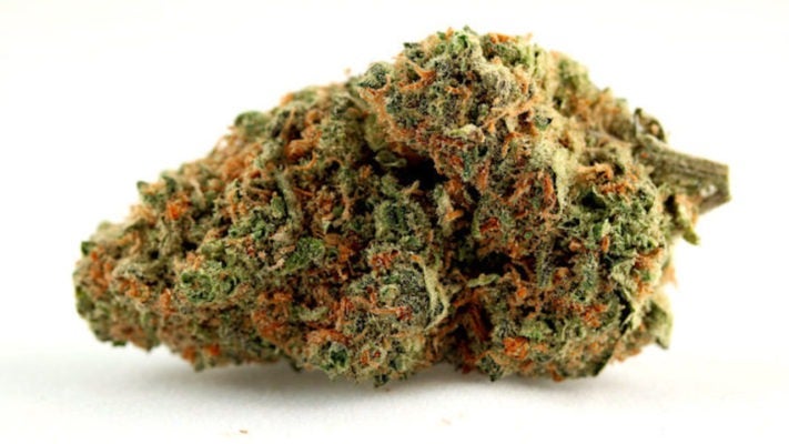 buy-weed-online-just-cannabis-uk-cannabis