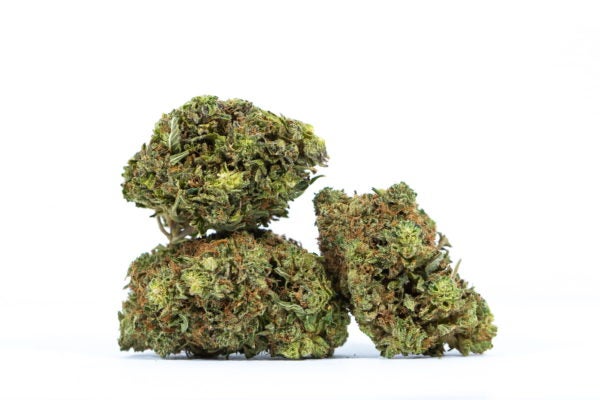 PINK-KUSH-cannabis-strain-Buy-Online-Canada