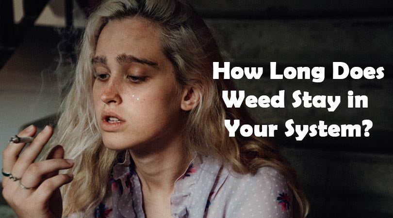 How Long Does Weed Stay in Your System