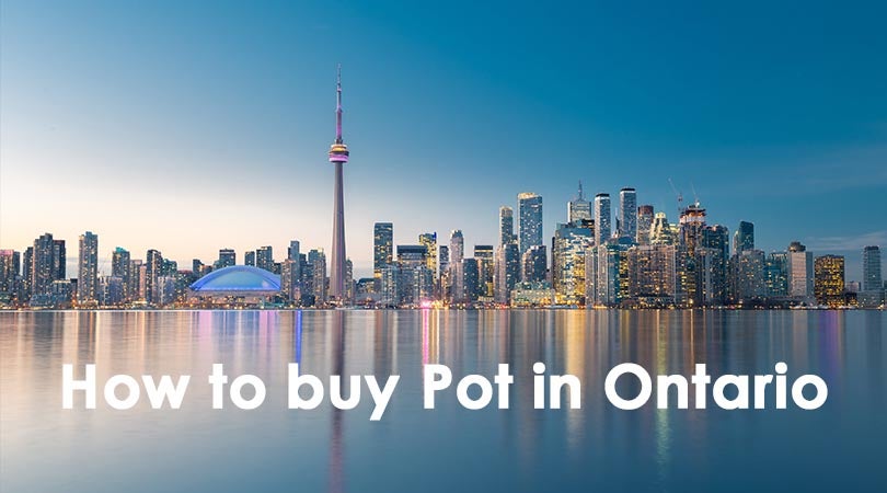 How to buy Pot in Ontario