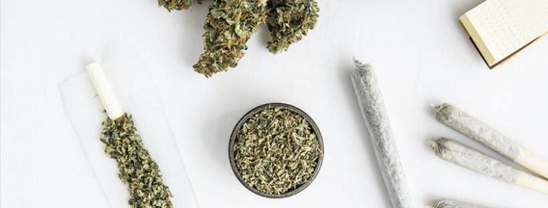 What-is-Marijuana-3