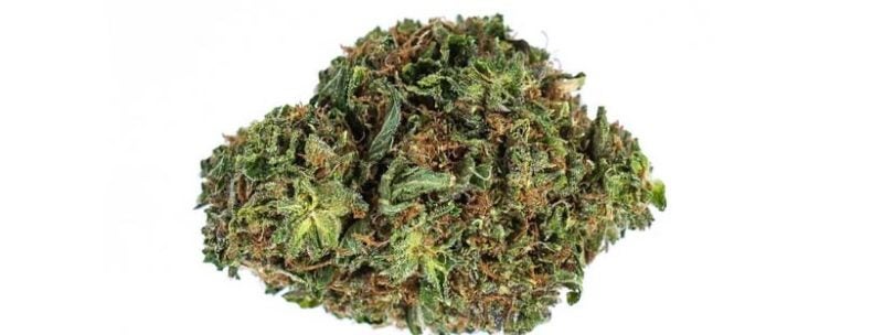 Most Potent Weed Strains