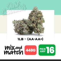 1LB – (AA-AA+) Mix & Match – Pick Any 16 (448G)