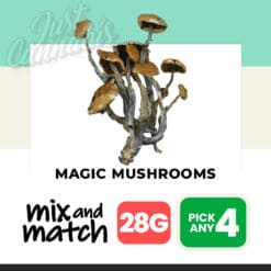 Magic Mushrooms (28G) – Mix & Match – Pick Any 4
