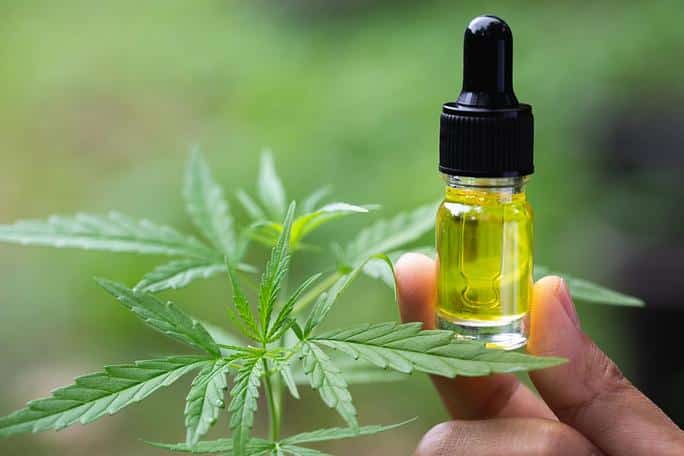What Are The Benefits And Effects Of Taking Cannabis Oil?