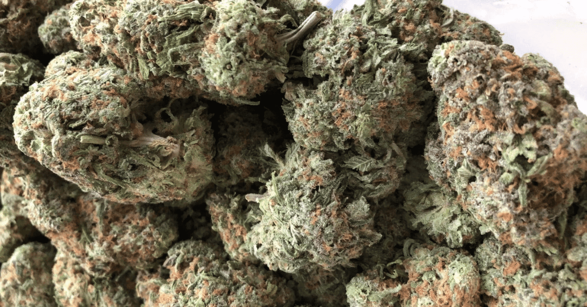 What is Bulk Weed?