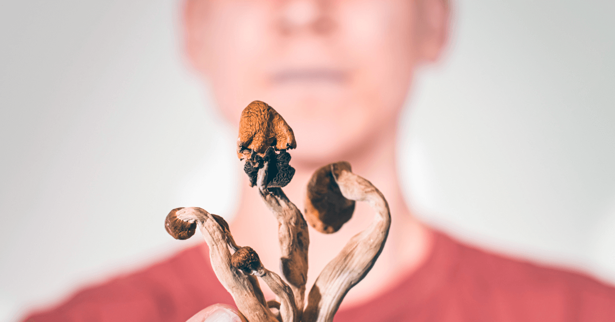 Why Are Shrooms So Popular in Canada