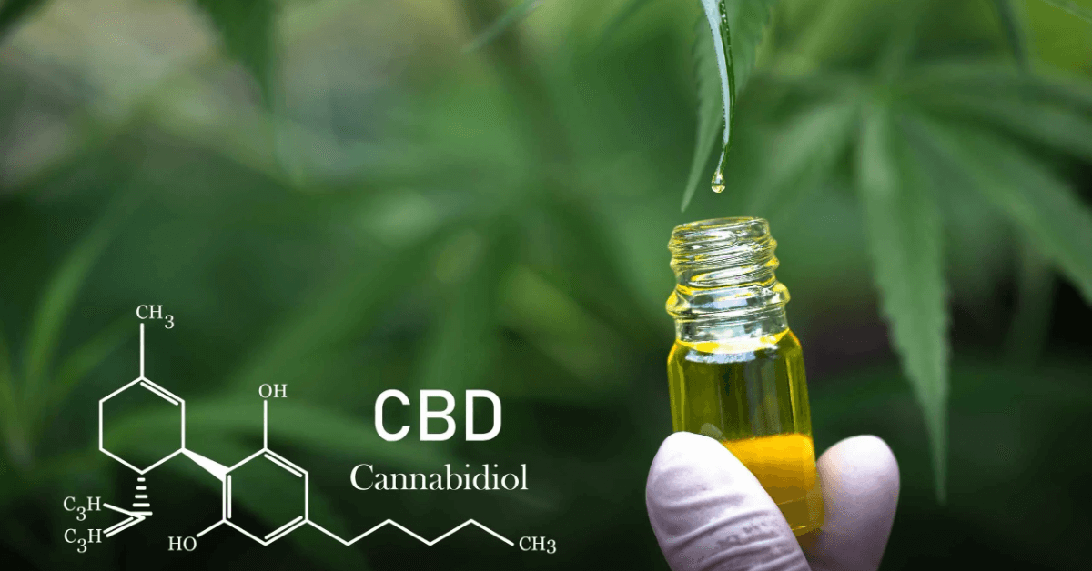 What is the Difference Between CBD and CBD Oil?