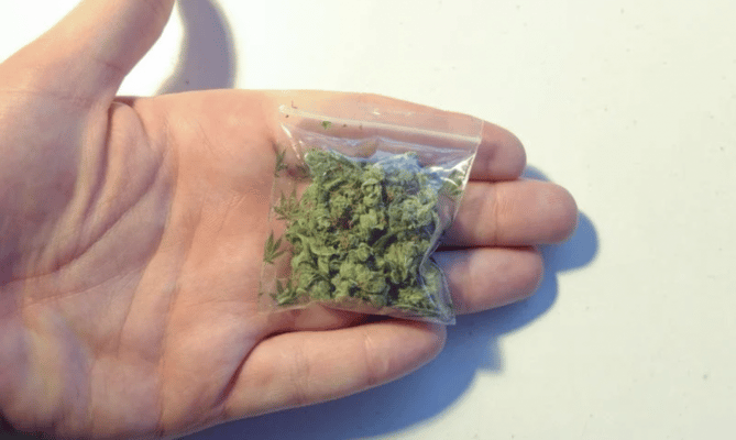 How Much is a Gram of Weed?